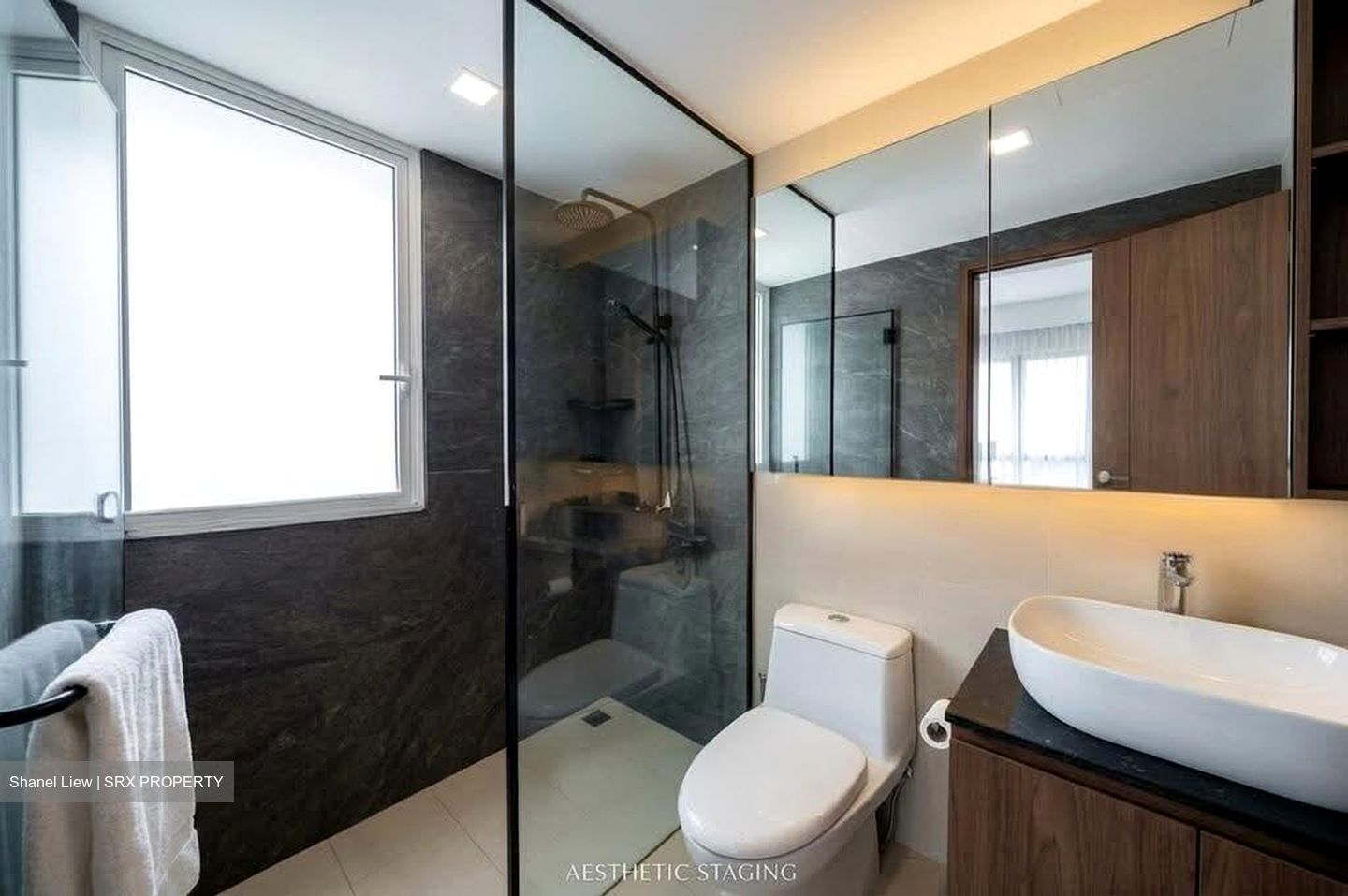 Waterview (D18), Condominium #619215421